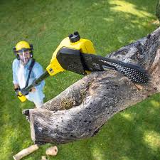 Best Lawn Mowing Services  in University Center, VA